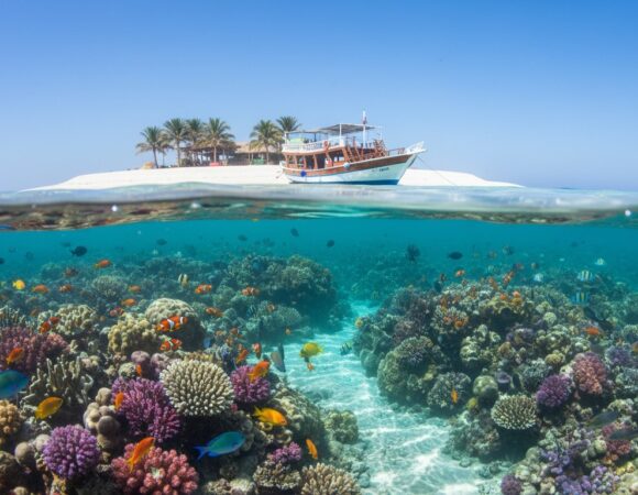 Izleti u Hurgadi: Kompletan Vodič za Najbolje Avanture 2026.