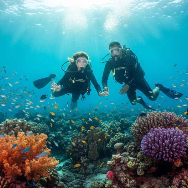 Ronjenje za početnike Hurgada: Vaš potpuni vodič za prvi zaron