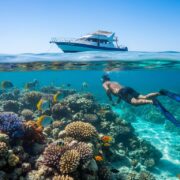 Snorkeling Hurgada Vodic za Najlepse Podvodne Avanture 2026. Hero Image hurgada izleti Vip