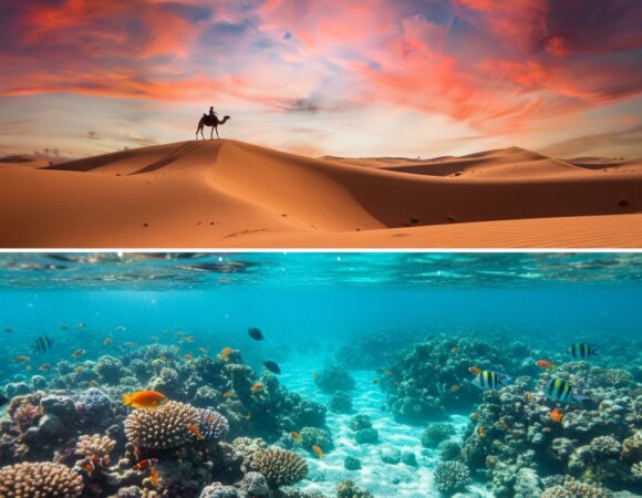 Šta raditi u Hurgadi: Vodič kroz 15+ najboljih aktivnosti i izleta