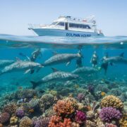 Dolphin House Hurgada Cena Kompletan Vodic za Izlet u 2026. Hero Image hurgada izleti Vip