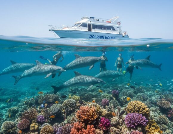 Dolphin House Hurgada Cena: Kompletan Vodič za Izlet u 2026.