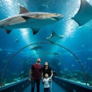 Grand Akvarijum Hurgada Kompletan Vodic za Posetu Cene Ulaznice i Saveti Hero Image hurgada izleti Vip