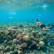 Najbolja mesta za snorkeling u Hurgadi Vodic kroz podvodni raj 2026 Hero Image hurgada izleti Vip