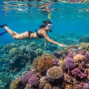 Oprema za snorkeling: Šta mi treba za savršen susret sa Crvenim morem 2026?