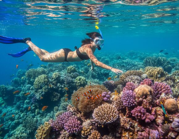 Oprema za snorkeling: Šta mi treba za savršen susret sa Crvenim morem 2026?