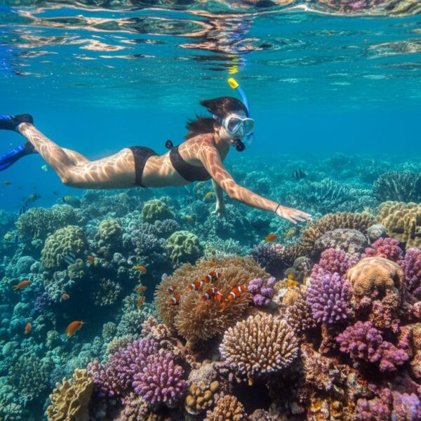 Oprema za snorkeling: Šta mi treba za savršen susret sa Crvenim morem 2026?