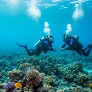 PADI Kurs Hurgada Cena 2026 Kompletan Vodic Kroz Ronilacke Sertifikate Hero Image hurgada izleti Vip