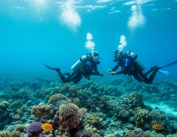 PADI Kurs Hurgada Cena 2026: Kompletan Vodič Kroz Ronilačke Sertifikate