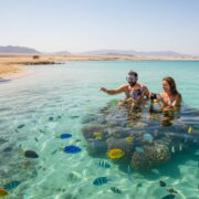 Hurgada vreme u avgustu 2026: Vodič za preživljavanje i uživanje na suncu