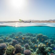 Hurgada vreme u julu 2026: Vodič za preživljavanje i najbolje izlete